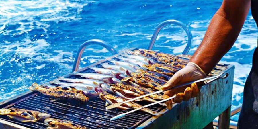 From Agadir or Taghazout: Boat Trip With Lunch