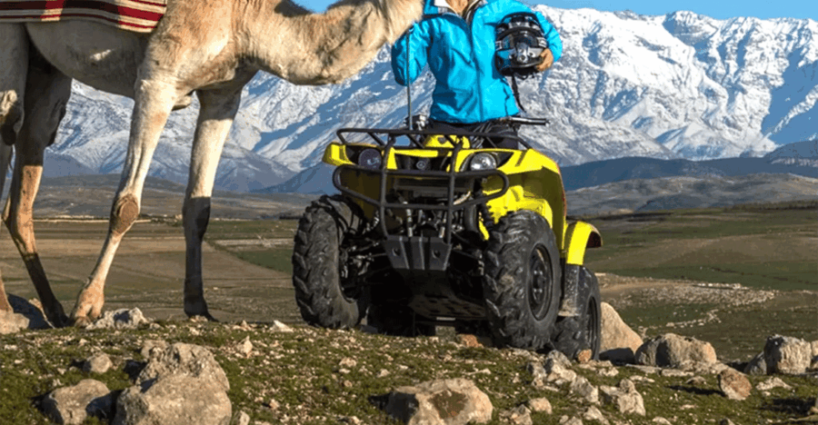 Marrakech: Agafay Desert Quad or Camel Ride With Dinner Show