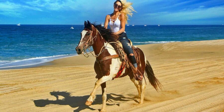 Agadir/Taghazout : Quad Bike & Horse Ride On The Beach