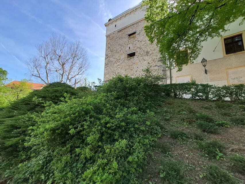 t6248093
