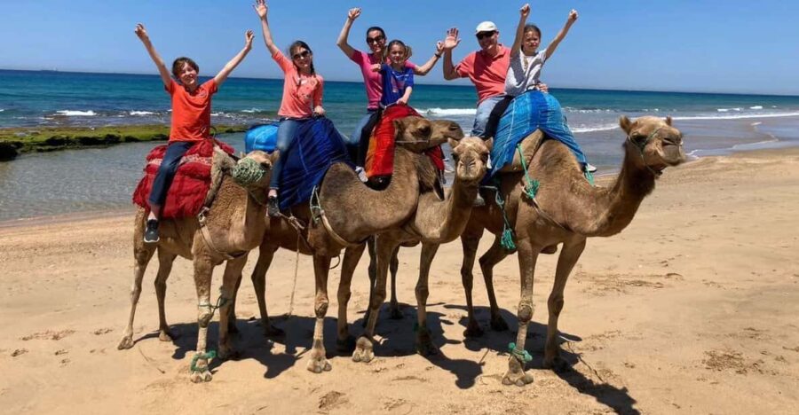 Sunset With Camel Ride in Tangier Ends With Walking Tour