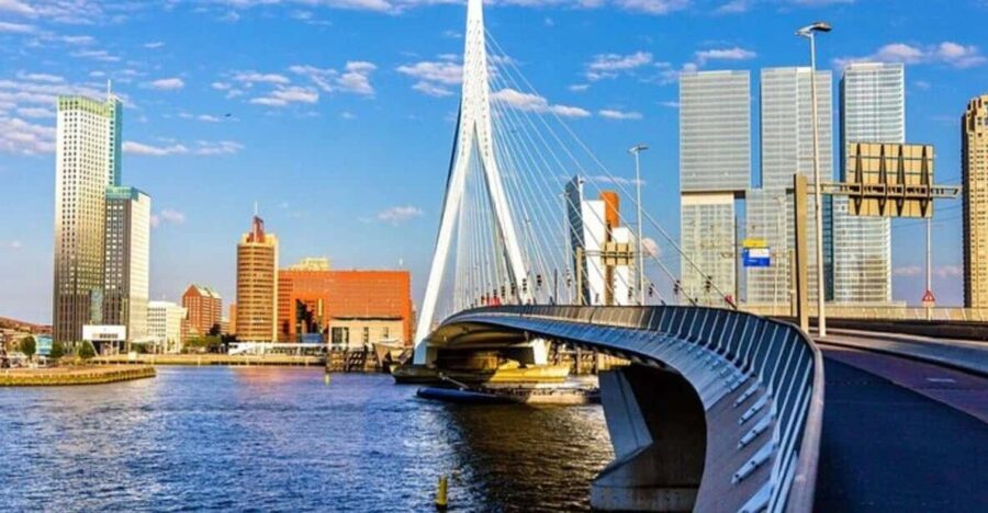 Rotterdam: Must-See Attractions Guided Walking Tour