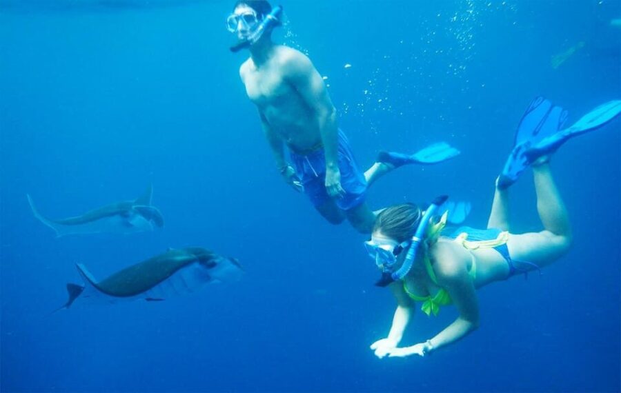 Nusa Penida Private Manta Point Snorkeling And Land Tour