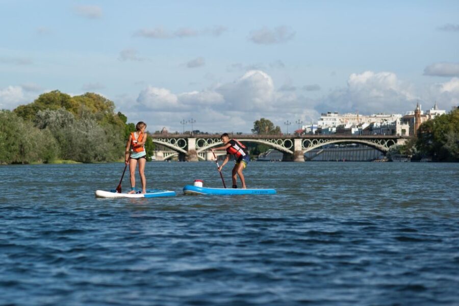 Seville: Guided Paddle Surf Tour