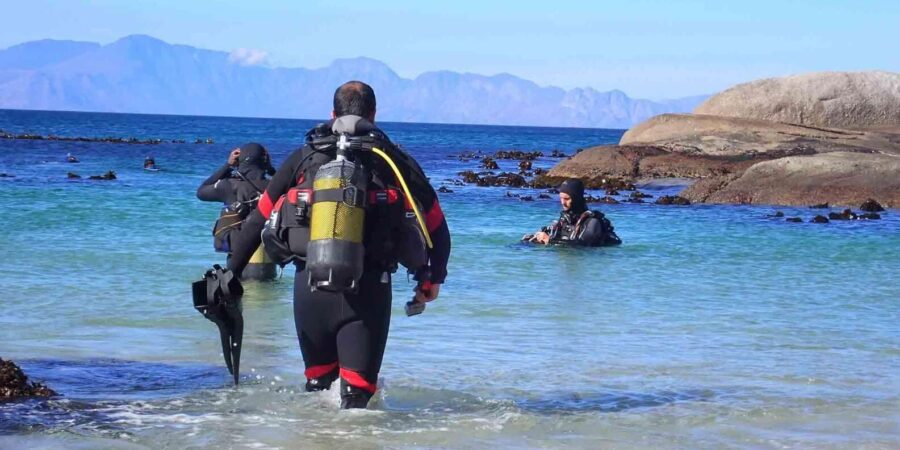 Cape Town: Discover Scuba Diving - 1 Day Experience