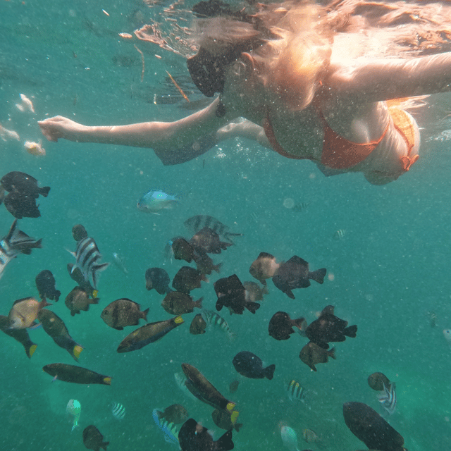 From Sanur : Snorkeling and Land Excursion at Nusa Penida
