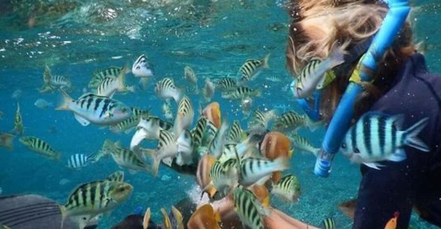 Nusa Penida Package 2D1N : Snorkeling and Tour Island