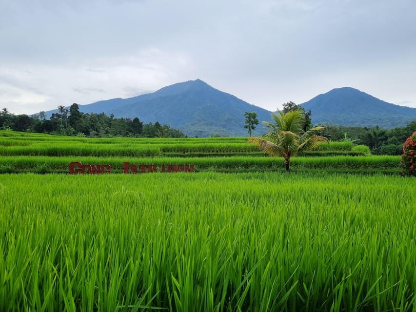Bali: Multi-Day Customizable Private Tour With Driver-Guide
