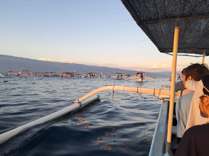 Bali Dolphin Tour