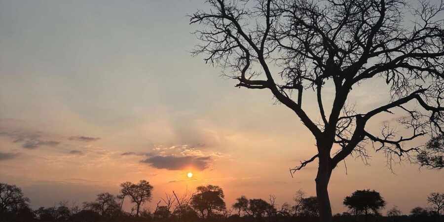 Hoedspruit: Dinner in the Bush & Safari Game Drive