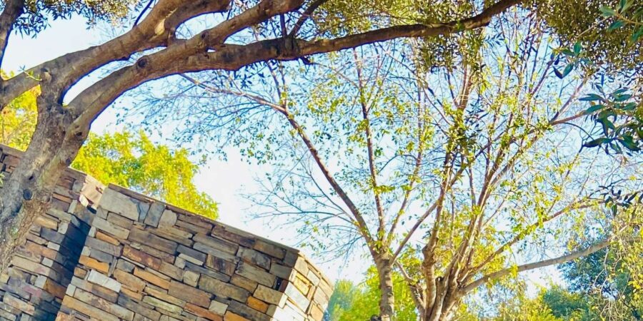 Soweto Walking Tour