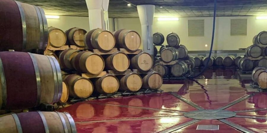 Cape Wine Farm Tours