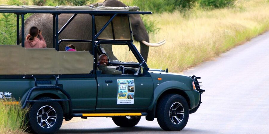 Kruger National Park - Full Day Safari (HOEDSPRUIT)