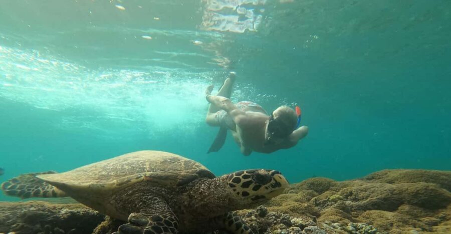 From Gili Air Private Snorkeling Tour 3 Gilis