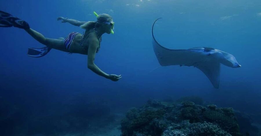 From Bali: Nusa Penida Private Snorkeling and Land Tour