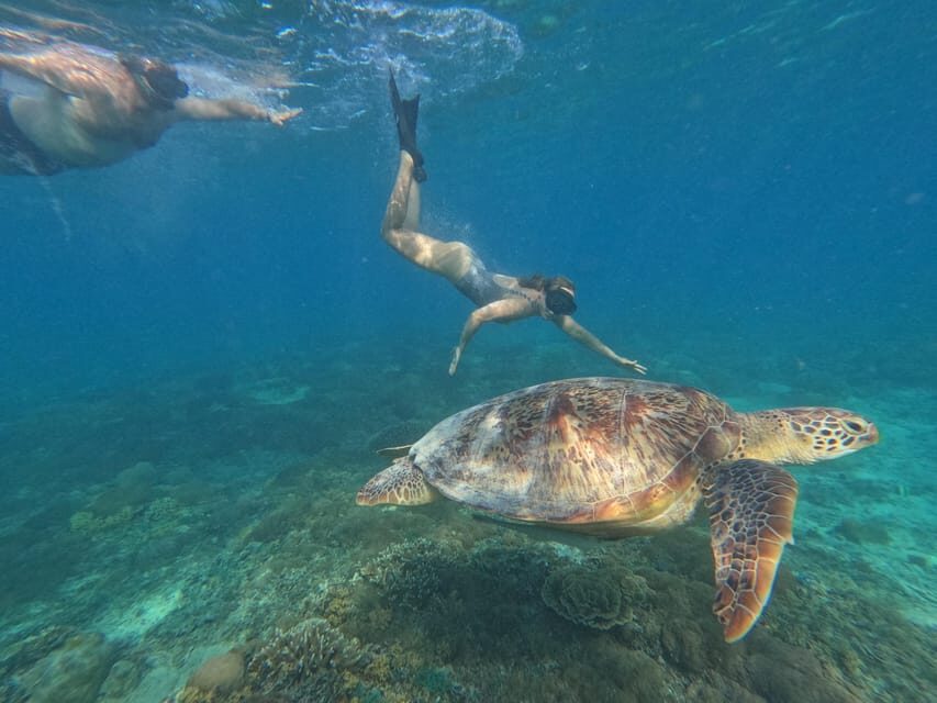 Gili Island Private Snorkeling & Visit Baby Turtles