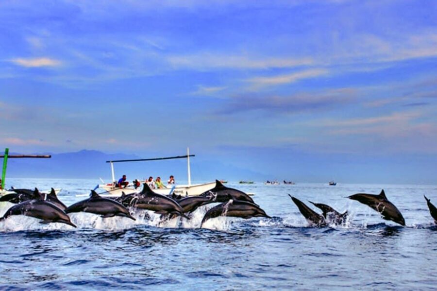 Lovina Bali: Dolphin Watching, Waterfall and Local Lunch