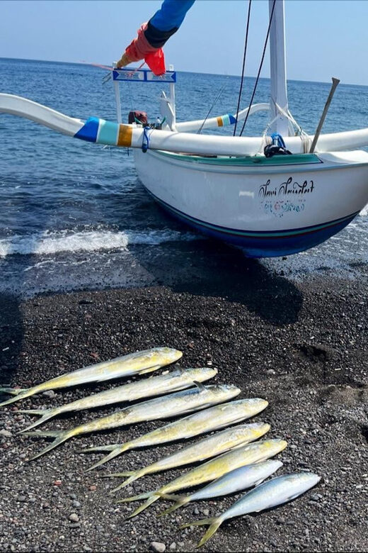 Amed: Fishing Trip - Hook a Mahi-Mahi, Tuna, GT or Wahoo!