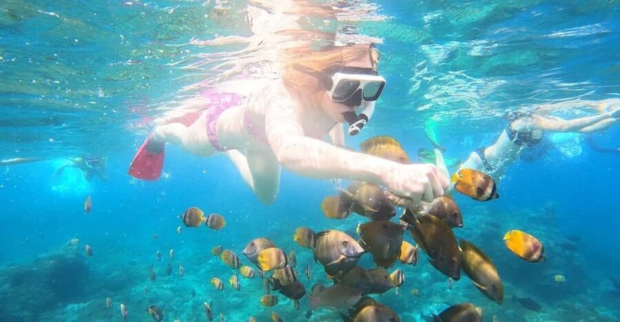 From Lembongan: Private West Penida Tour and Snorkeling
