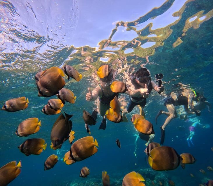 Bali: Nusa Penida Snorkeling and West Tour With Transfers
