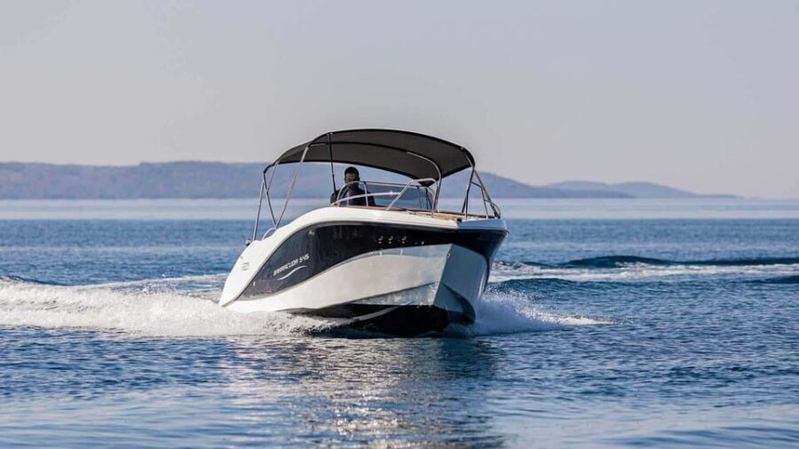 Marbella: Dolphin Watching Boat Tour