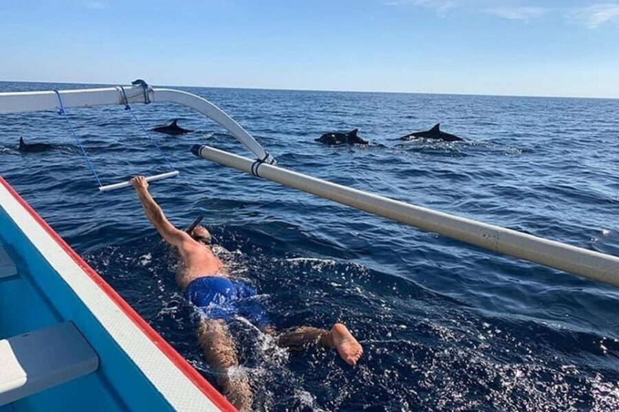 Lovina Dolphin Watching, Snorkeling and Swim With Dolphin