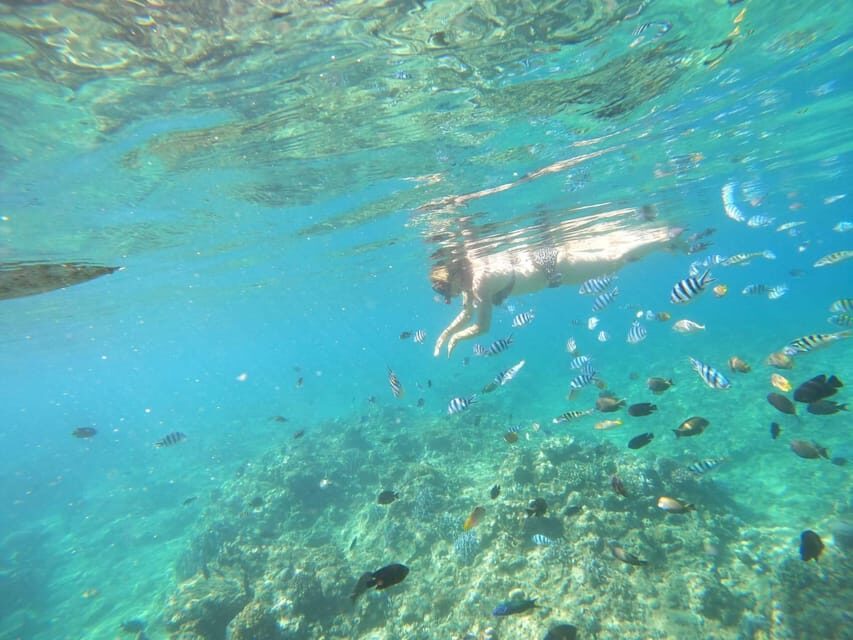 Bali: Lovina Dolphin Adventure With Breakfast and Snorkling.