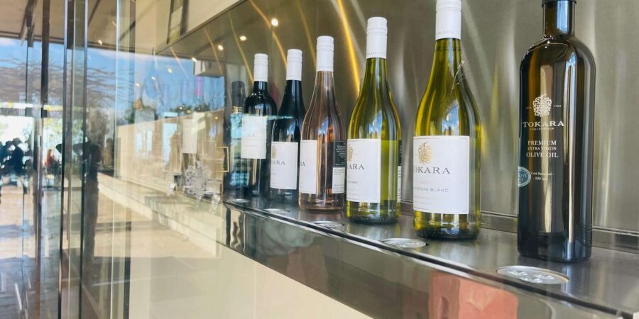Cape Town: Full-Day Wine Tasting Private Tour