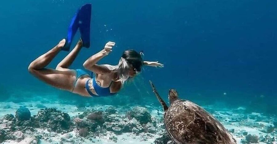 Lombok : Gili Trawangan, Meno & Air Private Snorkeling Tour