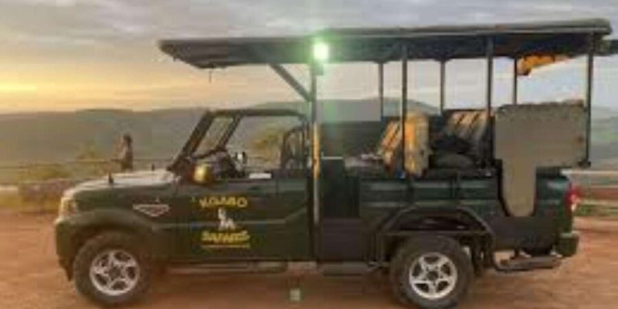 Pilanesberg : Evening Night Safari Drive