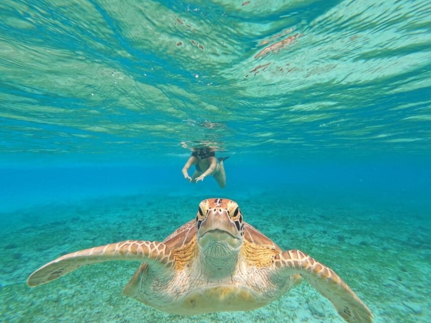 Snorkeling Tour Around 3 Island (Gopro Photoshoot)