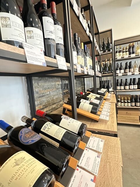 Marseile: Taste the Wines of the South in a Top Wine Shop.