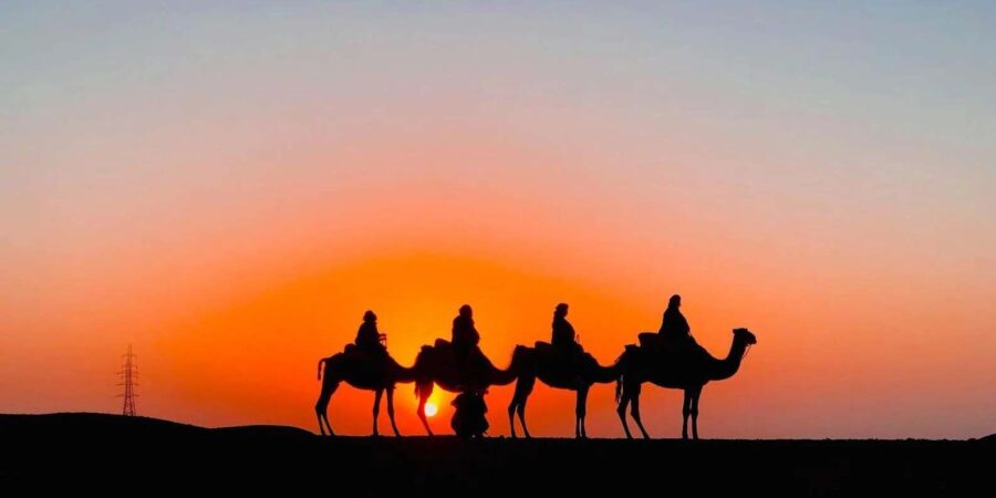 From Marrakech: Agafay Dinner & Quad Bike and Camel Ride