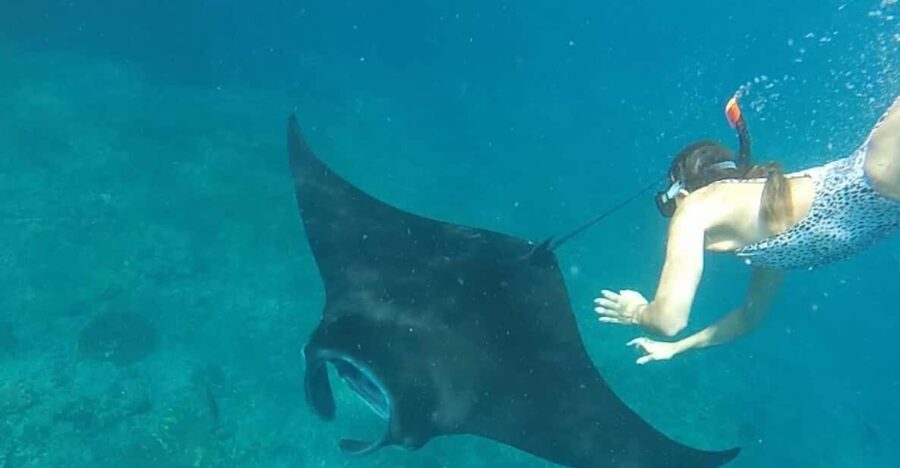 Nusa Penida : Discover Snorkeling and West Island Adventure