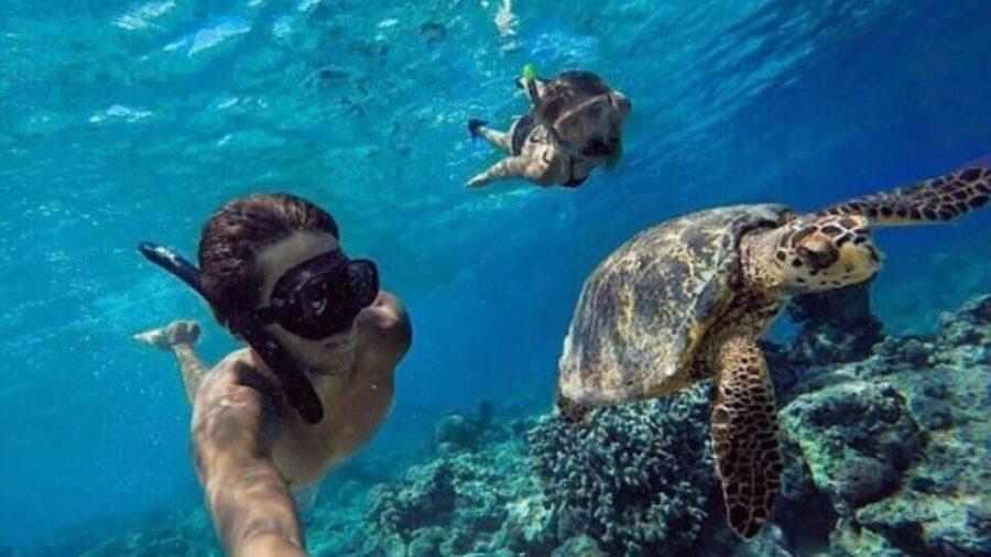 Nusa Penida: West Island Tour and Snorkeling Adventure