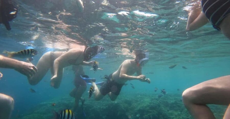Banyuwangi: 1 Day Tour Snorkeling & Explore Menjangan Island