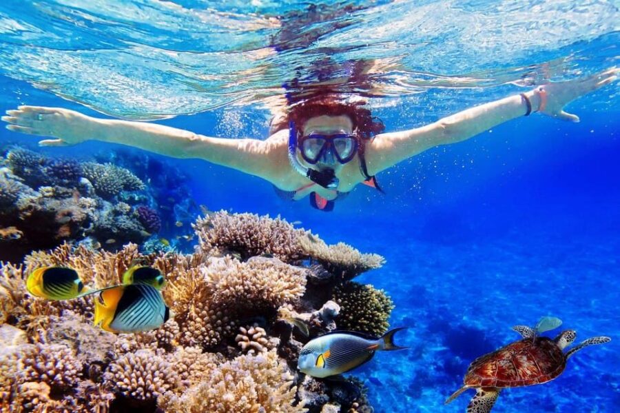 Bali: Blue Lagoon Beach Snorkeling Adventure With Lunch