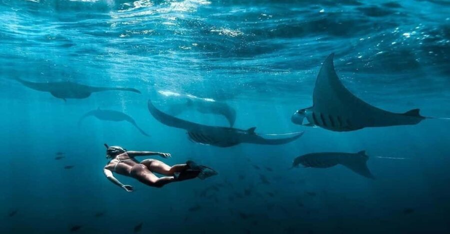 Bali: Nusa Penida Snorkeling Adventure and Island Tour