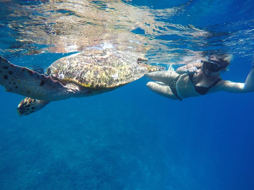 5 Secret Gili Boat Trip & Snorkeling in Southwest Of Lombok