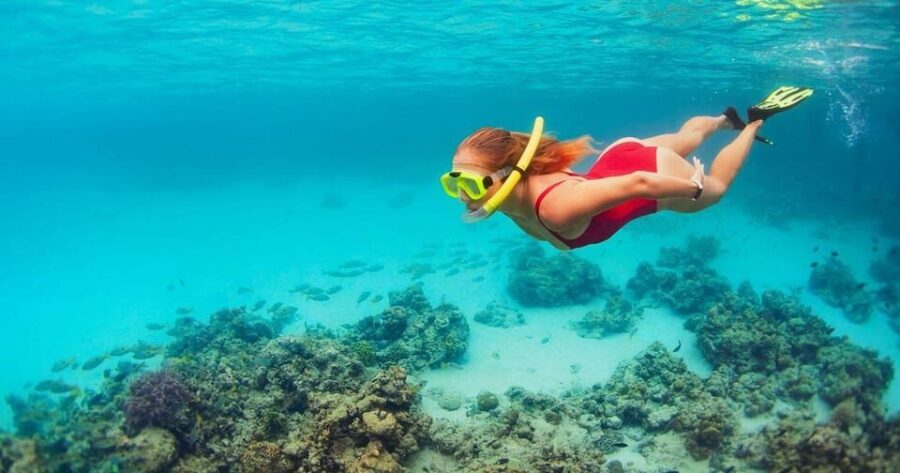 From Bali: Nusa Penida West Coast Private Tour With Lunch