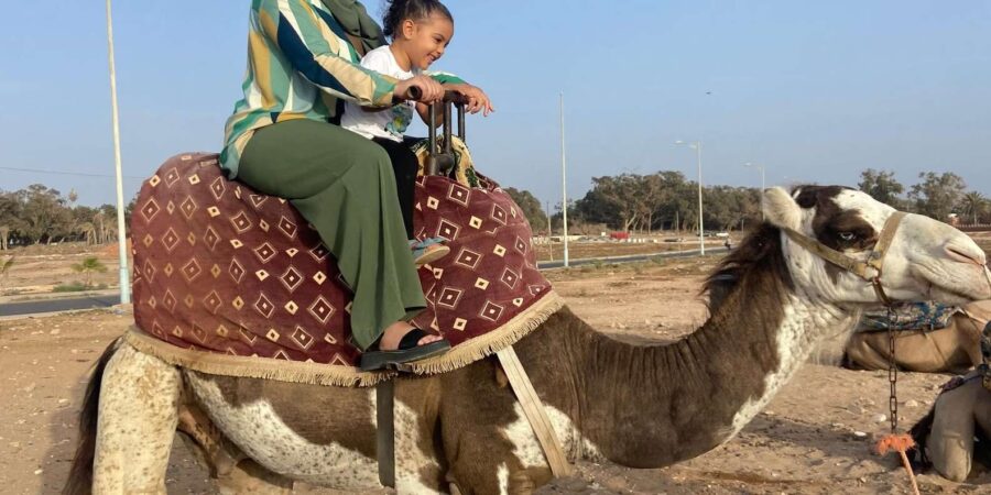 Agadir: Camel Ride at Sunset With Moroccan Dinner + Transfer