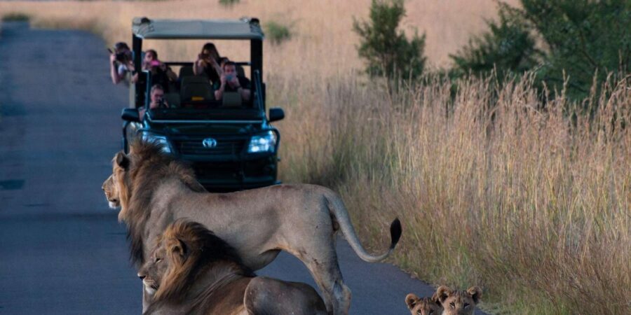 Johannesburg: Pilanesberg Nature Reserve Game Safari
