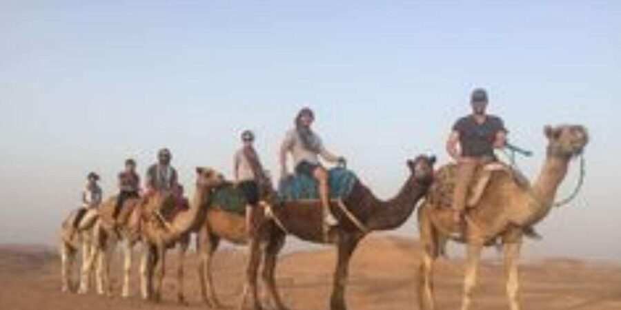 Swimming Pool: Quad & Camel Ride and Lunch in Agafay Desert