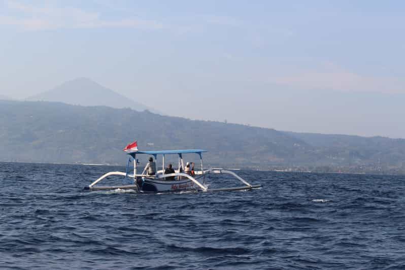 Bali: Dolphin Watching and Snorkeling in Lovina