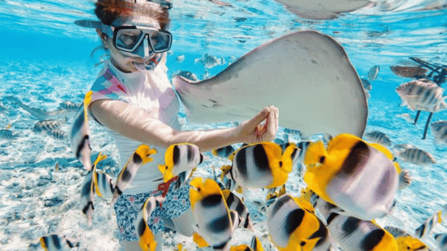 Nusa Penida Highlight: Snorkeling Spots and Full-Day Tour