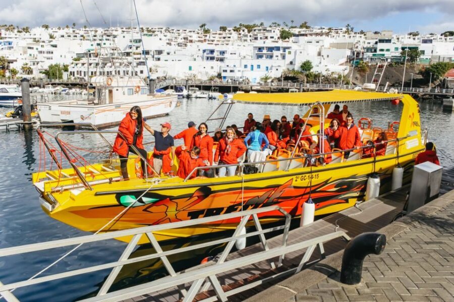 Puerto Del Carmen: Dolphin-Watching Speedboat Tour With Swim