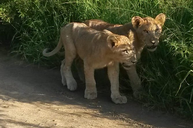 Tala Game Reserve. Natal Lion Park and Valley of 1000 Hills - Good To Know