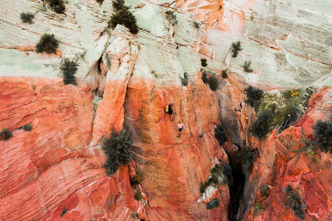 Tallest in Utah via Ferrata & Rappelling (4 Hr) - Good To Know