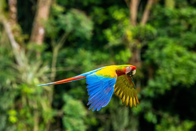 Tambopata Amazon Reserved Zone Exclusive Experience (6 Days) - Good To Know