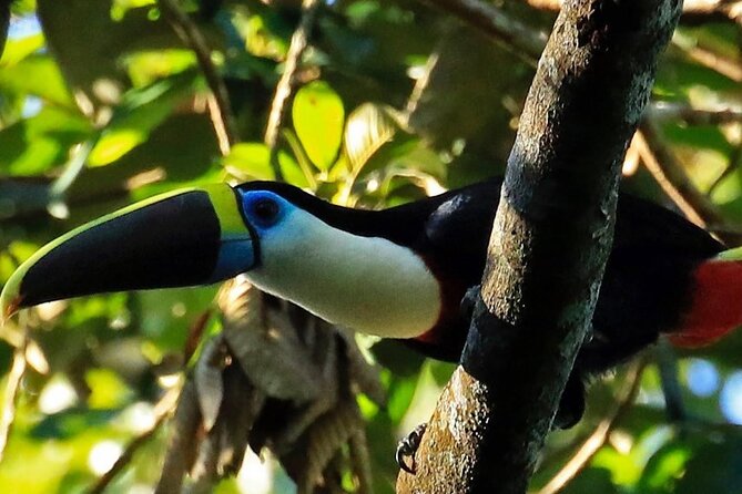 Tambopata Reserve Excursion 3D - 2N From Cusco - About Your Stay